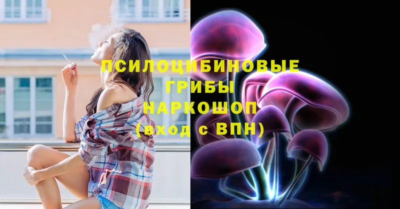 цена   мега   Галлюциногенные грибы MAGIC MUSHROOMS  Алексин 